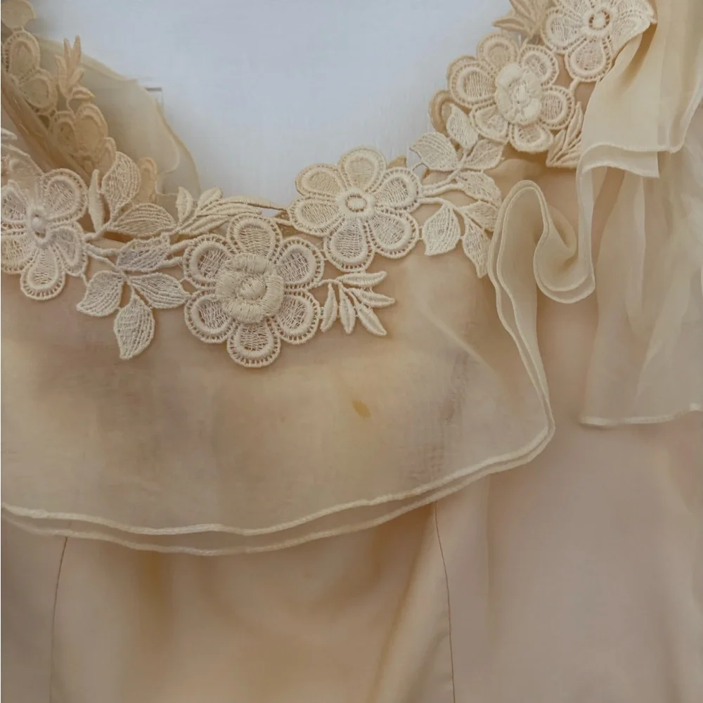 Vintage 1970s Prairie Wedding Gown – Organza Ruffles, Daisy Floral Appliqué - Picture 6 of 15